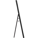 Diamond Sofa Luxe Floorstanding Mirror LUXEMIBL IMAGE 3