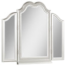Coaster Furniture Vanity Mirror 223398 IMAGE 1