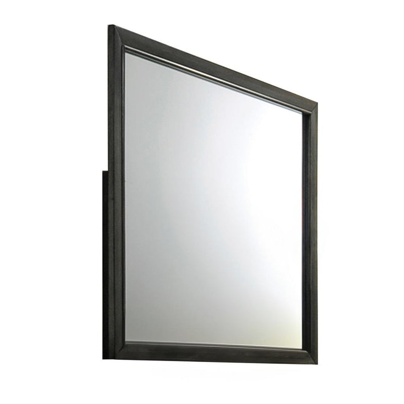 Acme Furniture Carine II Landscape Dresser Mirror 26264 IMAGE 3
