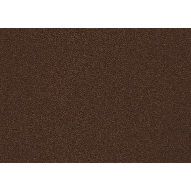 Homelegance Briscoe Reclining Loveseat 9470BR-2 IMAGE 8
