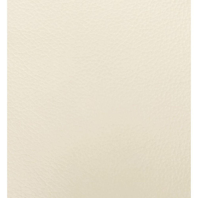 Acme Furniture Malaga Stationary Leather Chair 55007 IMAGE 5