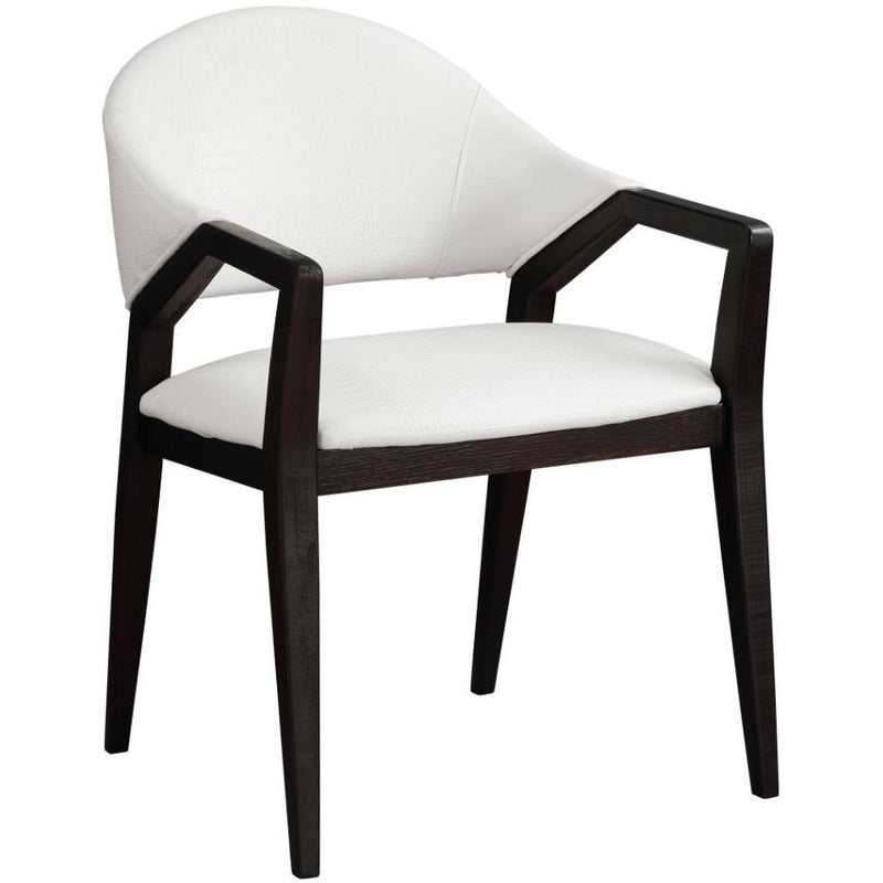 Acme Furniture Aucilla Stationary Polyurethane Accent Chair 59897 IMAGE 2