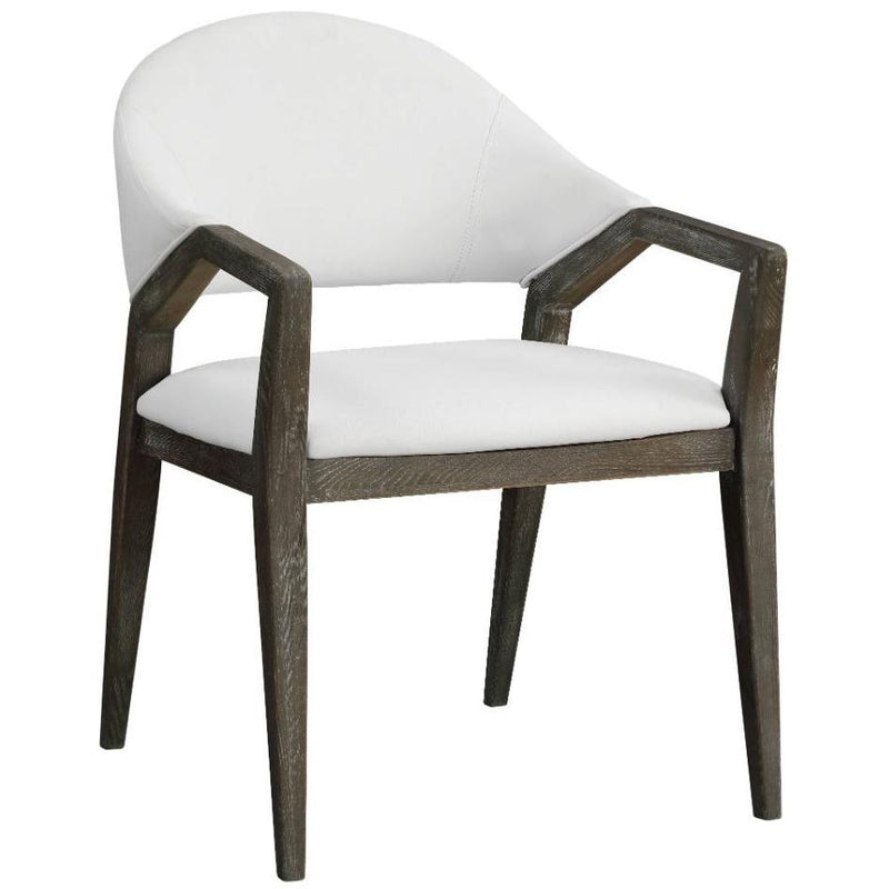 Acme Furniture Aucilla Stationary Polyurethane Accent Chair 59900 IMAGE 2