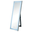 Acme Furniture Nyoka Floorstanding Mirror 97714 IMAGE 2