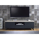 Acme Furniture Magna TV Stand with Cable Management 91405 IMAGE 1