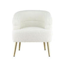 Acme Furniture Trezona Stationary Fabric Accent Chair AC00125 IMAGE 1