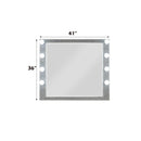 Acme Furniture Sliverfluff BD00245 Mirror with Light IMAGE 4