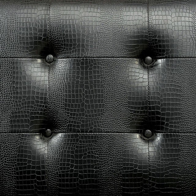 Furniture of America Sienna Stationary Leather Loveseat CM-AC6262BK-LV IMAGE 3