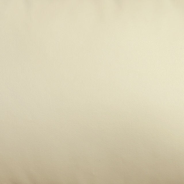 Furniture of America Parma Stationary Leather Look Chair CM6324IV-CH IMAGE 3