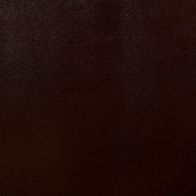 Furniture of America Jeanna Leather Look Recliner CM6343-CH IMAGE 3