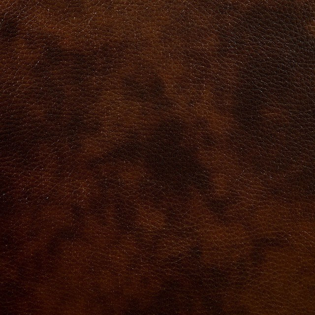 Furniture of America Winslow Reclining Leather Loveseat CM6556L-CT IMAGE 4