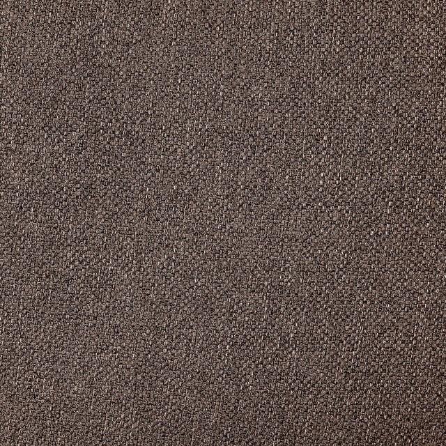 Furniture of America Maxime Stationary Fabric Loveseat CM6971BR-LV IMAGE 5
