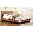 Furniture of America Evans Twin Bed CM7099CL-T-BED IMAGE 1