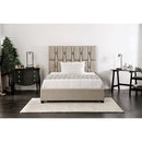 Furniture of America Deirdre Twin Bed CM7203T-BED IMAGE 6