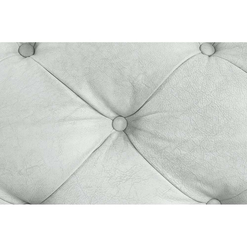 Acme Furniture Ragle Stationary Leather Sofa LV01021 IMAGE 6