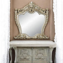 Acme Furniture Danae BD01236 Mirror IMAGE 6