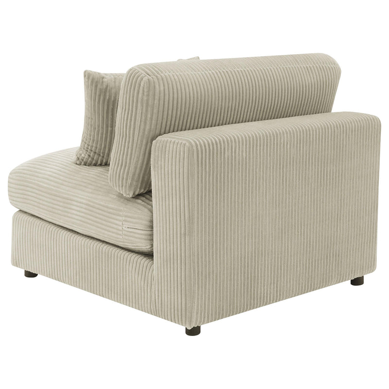 Coaster Furniture Accent Chairs Stationary 509897 IMAGE 6