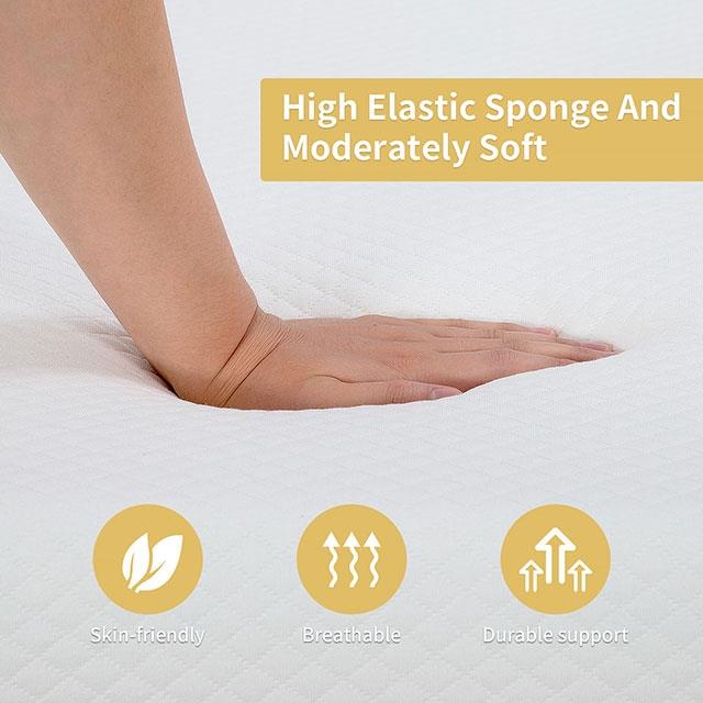 Furniture of America Coreopsis DM520-T 8" Twin Memory Foam Mattress IMAGE 6