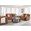 Signature Design by Ashley Danum 3880781 2 Seat Reclining Sofa IMAGE 14