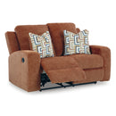Signature Design by Ashley Danum 3880786 Reclining Loveseat IMAGE 2
