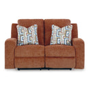 Signature Design by Ashley Danum 3880786 Reclining Loveseat IMAGE 3
